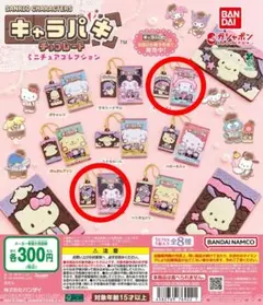 サンリオキャラクターズ キャラパキ ミニチュアコレクション 2個セット