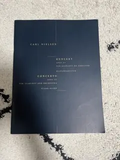 Item thumbnail for item 93443e90-7f0f-45a8-a01a-940483683f10