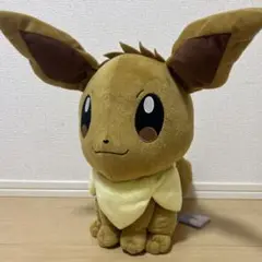 ポケモン　イーブイ