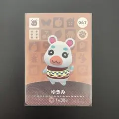 あつ森 amiibo ゆきみ トレーディングカード 067