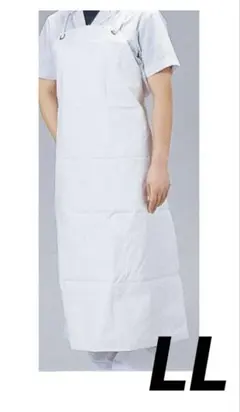 Item thumbnail for item 4c2a9805-66f8-413b-b08f-91ac058faf24