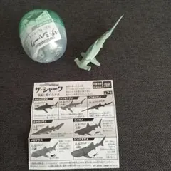 ザ・シャーク　シュモクザメ