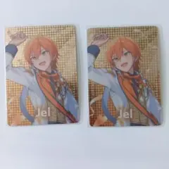 ランダムカードコレクション　STPR Jel 2枚セット