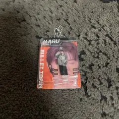 Item thumbnail for item 7e39a393-ea61-4b13-a8cd-c2140efef2ef