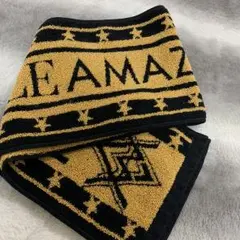 EXILE AMAZING WORLDツアー マフラータオル 美品