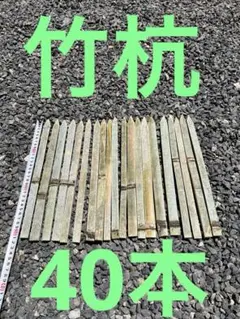 모종, 대나무, 대나무, 말뚝 40개, 농경지, 화단, 원예, 대나무 측량, 토목공사 랜드마크