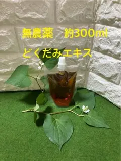 無農薬　どくだみエキス　どくだみチンキ　約300ml