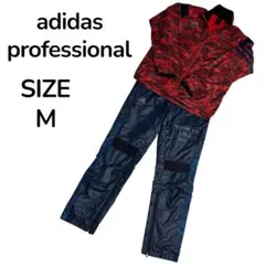 Item thumbnail for item 18db3ad8-fc71-4df6-98a3-e0f6ba249bdd