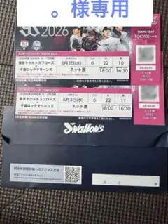 交流戦　ヤクルトスワローズ vs ロッテマリーンズ 6月3日　ネット裏 2連席のサムネイル