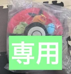 らいあ様専用です。チコリータのみお譲り