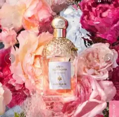 アクアアレゴリア　ローザロッサ