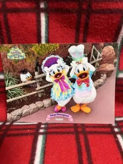 ディズニースペシャルフォト イースター 2012ドナデジ