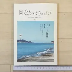希少！満島ひかり/井之脇海 東芝家電CMロケ地 月刊ピンときちゃった！vol.1