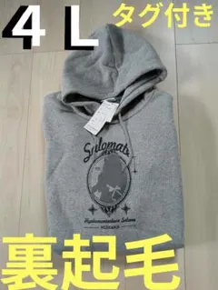 Item thumbnail for item 14bf8118-9f57-4177-b08f-fef719a43ccf