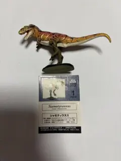 チョコラザウルス シャモティラヌス オレンジ - メルカリ