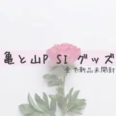 亀と山p グッズ