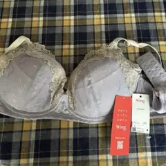 ワコール Wing ブラジャー　　　　　　L Lサイズ　新品未使用！