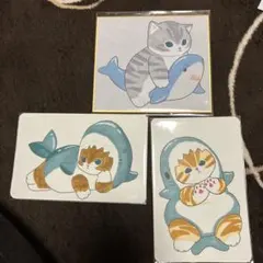 手描きイラスト ハガキサイズ ミニ色紙 サメにゃん オリジナル