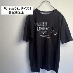 【大きいサイズ LL】ミチコロンドンジーンズ 半袖 Tシャツ デカロゴ 刺繍 黒のサムネイル