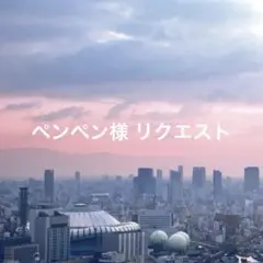 ペンペン様 リクエスト 5点 まとめ商品