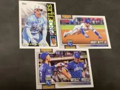 Item thumbnail for item 48b3a13f-6541-47f2-bb44-2e7cd8e9cd2f