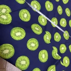 生地　キウイ　シーチング