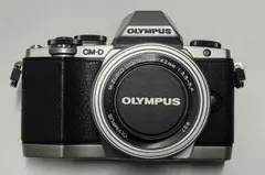 OLYMPUS OM-D E-M1X シャッター数 335回 - メルカリ