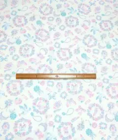 オックス生地　カラフルキャンバス　ジュエリーボックス　ゆめかわ　112×50　白