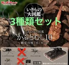 いきもの大図鑑 かぶとむし10 ガシャポンオンライン版 3種類セット