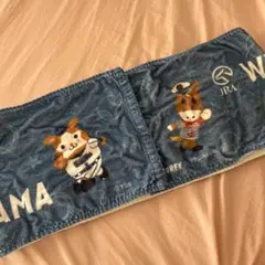 JRAと横浜DeNAベイスターズコラボタオル