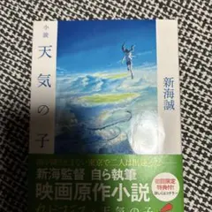 小説 天気の子