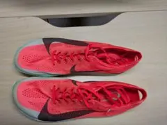 NIKE ナイキ ドラゴンフライ2エリートのサムネイル