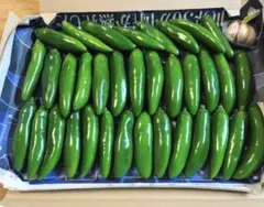 ⑦栃木県産 完熟とフレッシュハラペーニョ！500g - メルカリ