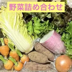 新鮮野菜セット　野菜詰め合わせ