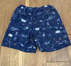 patagonia パタゴニア バギーズショーツ36周年記念xsfunhogs