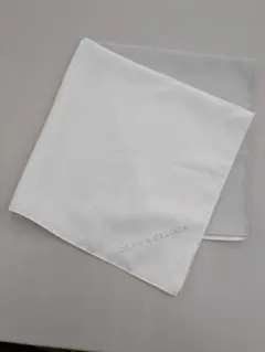 Item thumbnail for item 1db2475f-2bb1-47bb-b144-09c2a33cb1e0