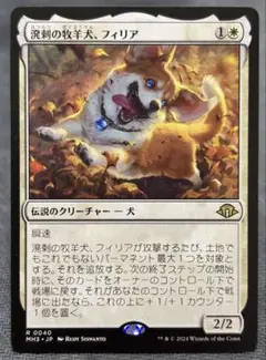 溌剌の牧羊犬、フィリア　Phelia, Exuberant Shepherd