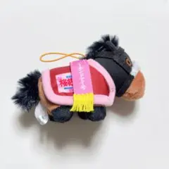 ぷらさぷ サラブレッドコレクション 馬服 アーモンドアイ