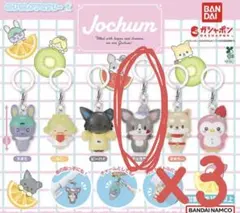 Jochum めじるしアクセサリー【チュララ】3個セット