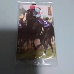 まねき馬　2508　イクイノックス　ルメール　宝塚記念のサムネイル