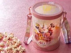 ディズニー カチューシャ・ポップコーンバケット・ケースセット まとめ売り 2025年最新】ポップコーンバケット ディズニー 40周年の人気