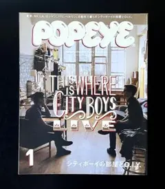 POPEYE ポパイ　シティボーイの部屋とD.I.Y. インテリア特集