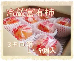 【冷蔵富有柿】３キロ箱　Lサイズ9個入　福岡県産のサムネイル