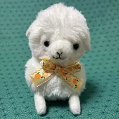 ベイビー アルパカッソ フルーツ　LMC オレンジ ぬいぐるみ １１㎝