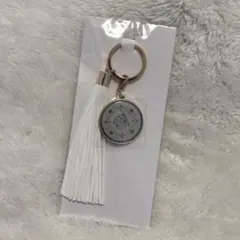 Item thumbnail for item 78618efe-8b60-484b-a8d6-3b5b50760e72