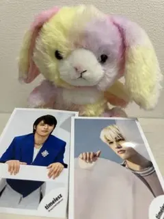 timelesz 篠塚大輝 うさぎぬいぐるみ DAISO