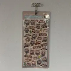 正規品　ボンボンドロップシール　レッサーパンダ　クーリア