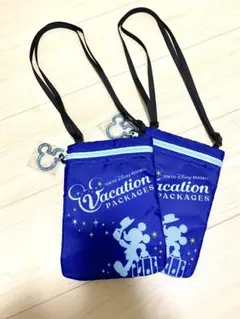 ディズニー　バケーションパッケージ　チケットホルダー