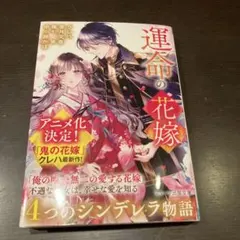 シンデレラ 文学・小説