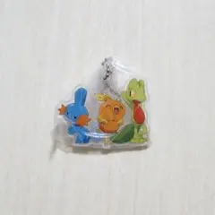 ポケモン 旅立ちの3匹 キモリ アチャモ ミズゴロウ